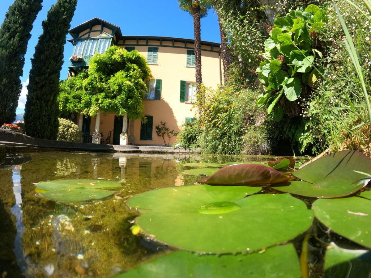 Villa Reginella วาเรนนา ภายนอก รูปภาพ
